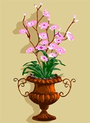 Needlepoint: Terra Cotta Urn