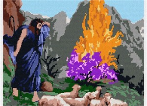 Moses Burning Bush additional image #1