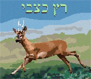 Run As A Deer additional image #1