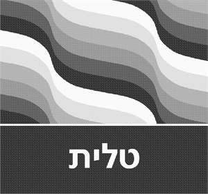 image of Large Tallit Waves Greys