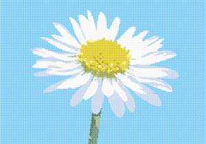 image of Lonely Daisy