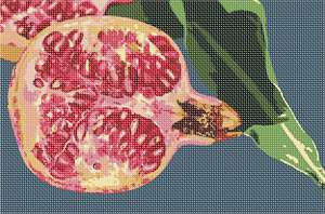 image of Open Pomegranate