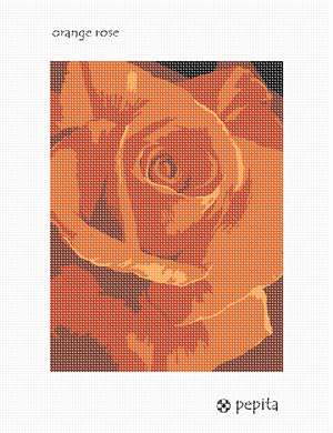 image of Orange Rose