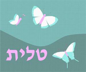 image of Tallit Butterflies Teal