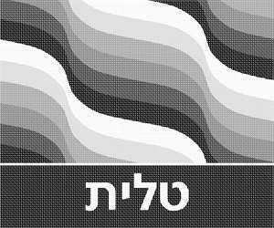 image of Tallit Waves Greys