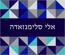 Tallit Border Jewish Star 1 Needlepoint Kit
