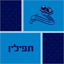 Tefillin Section Dots