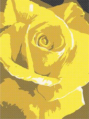 image of Yellow Rose (Large)